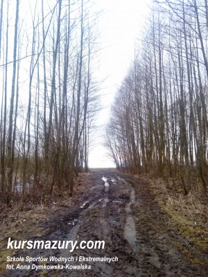 Ścieżka prowadząca na dziki brzeg jeziora Śniardwy.