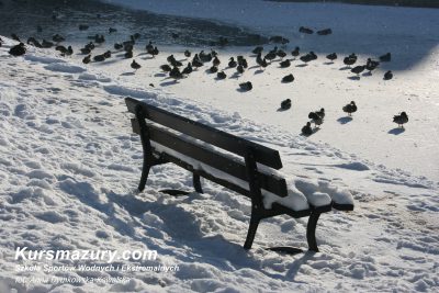 mazury zimą zima na mazurach kursmazury ptaki dokarmianie jak dokarmiać kiedy sikorki kaczki łabędzie kanał Giżycko nad wodą jeziora mazurskie karmnik